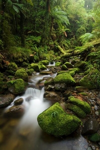 New Zealand´s West Coast, further your career